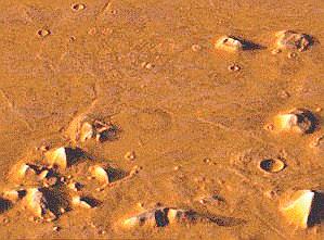 cydonia